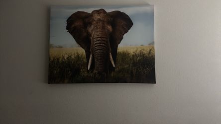 Hermosos Cuadros Decorativo