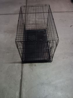 Dog Crate