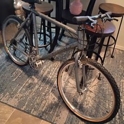 Vintage mountain bike