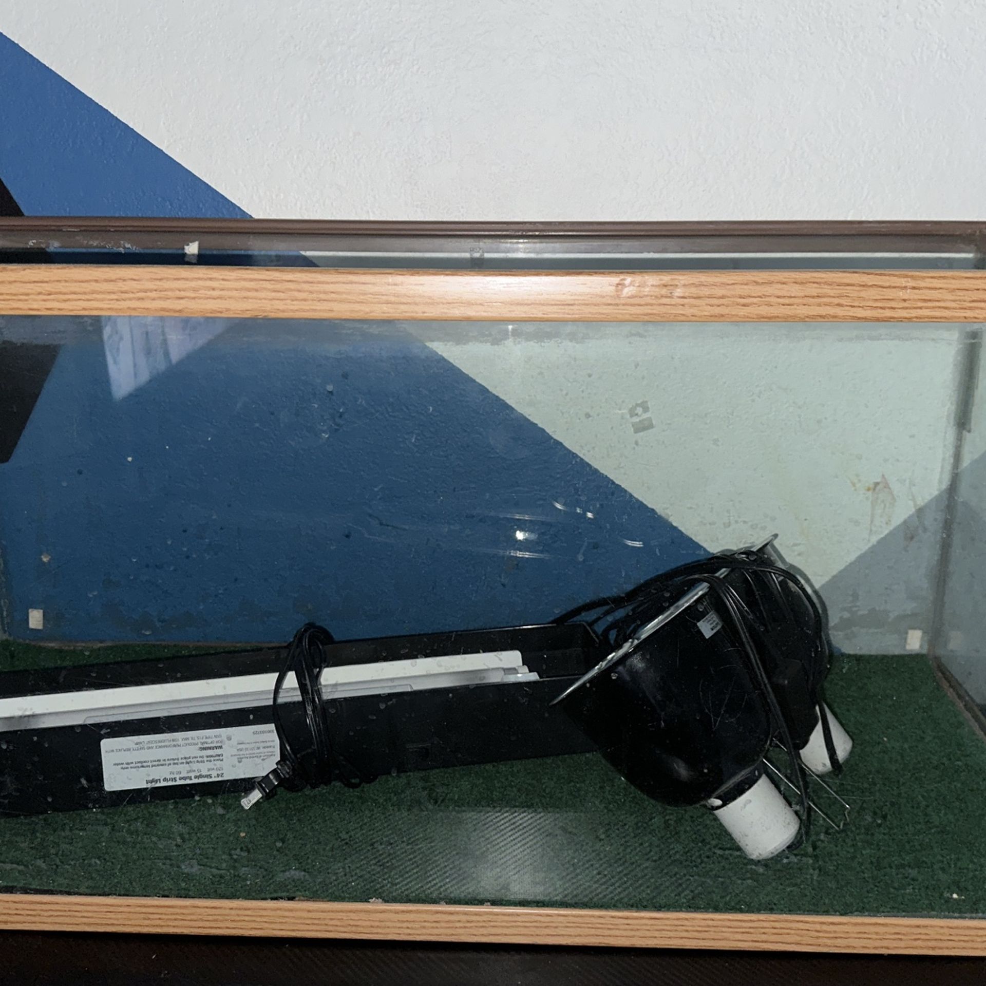 40 Gallon Tank
