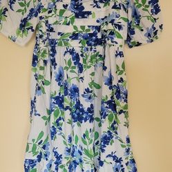 7 peices girls clothes Size 10-12 . 4 dresses . 2 skirt and 1 shirt all $22