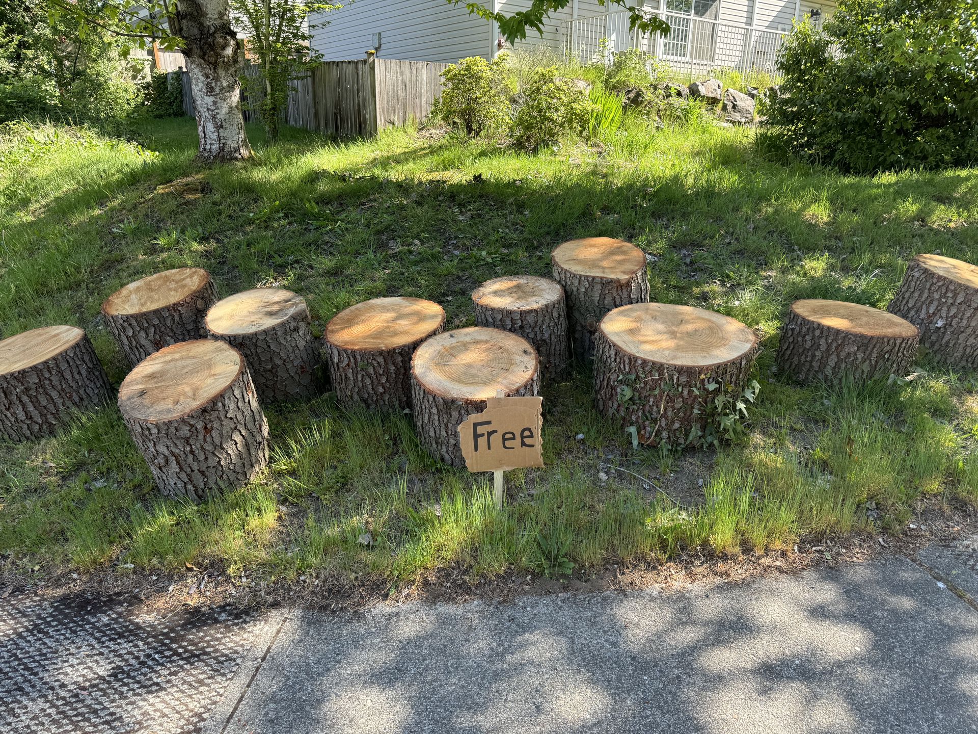 Free Cedar Firewood