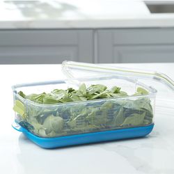 Vida Sana™ Medium Produce Saver Guarda vegetales mediano Vida Sana™ 5581