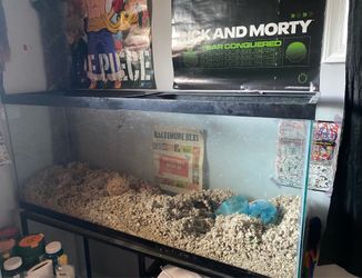 48 x 20  Tank (40 gallon)