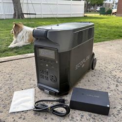 EcoFlow Delta Pro Power Station