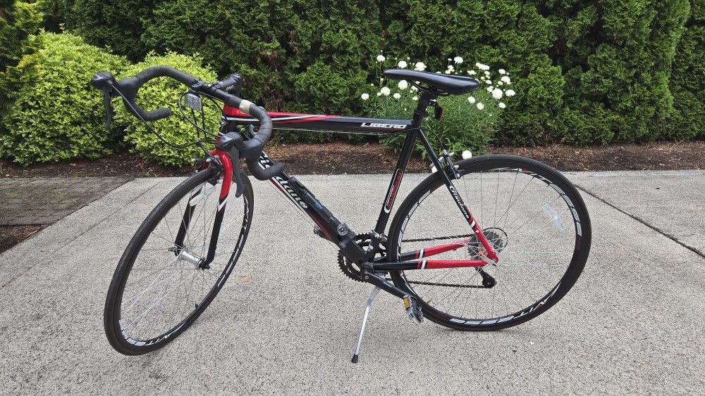 20 Inch GIordano Bicycle