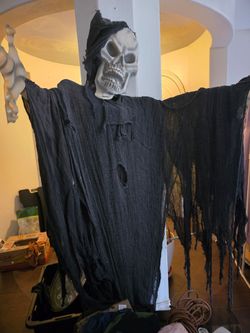 Spirit 12ft hanger skull