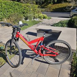 Cannondale Super V1000 