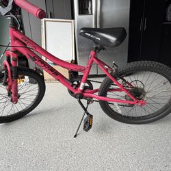 Girls Bike 20”