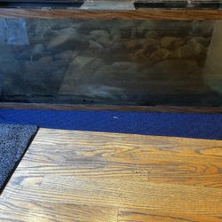 55 Gallon Fish Tank 