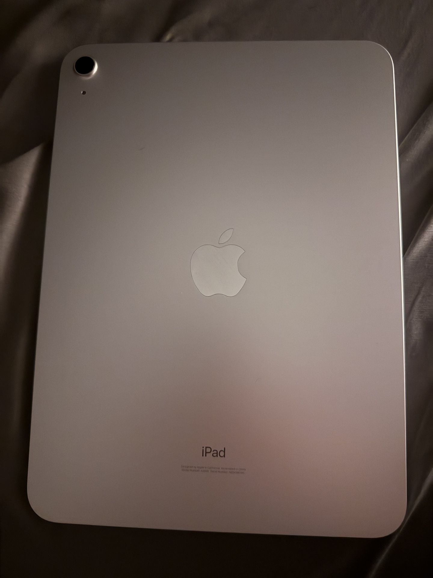 iPad 10th Generation 256GB(WiFi)