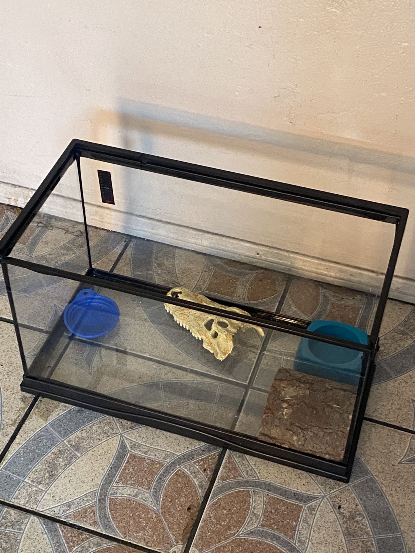 Fish Tank.