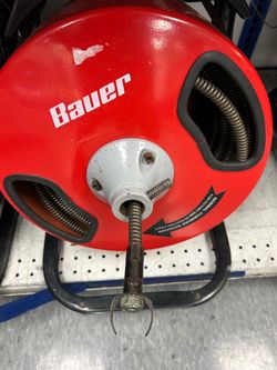 Bauer snake