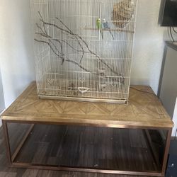 Bird Cage And Table 