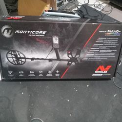 Metal Detector 