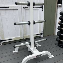 Cybex Brand Commercial Quality Olympic Weight Plate Storage Tree