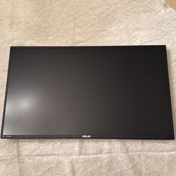 ASUS Monitor