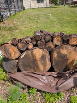 Wood
