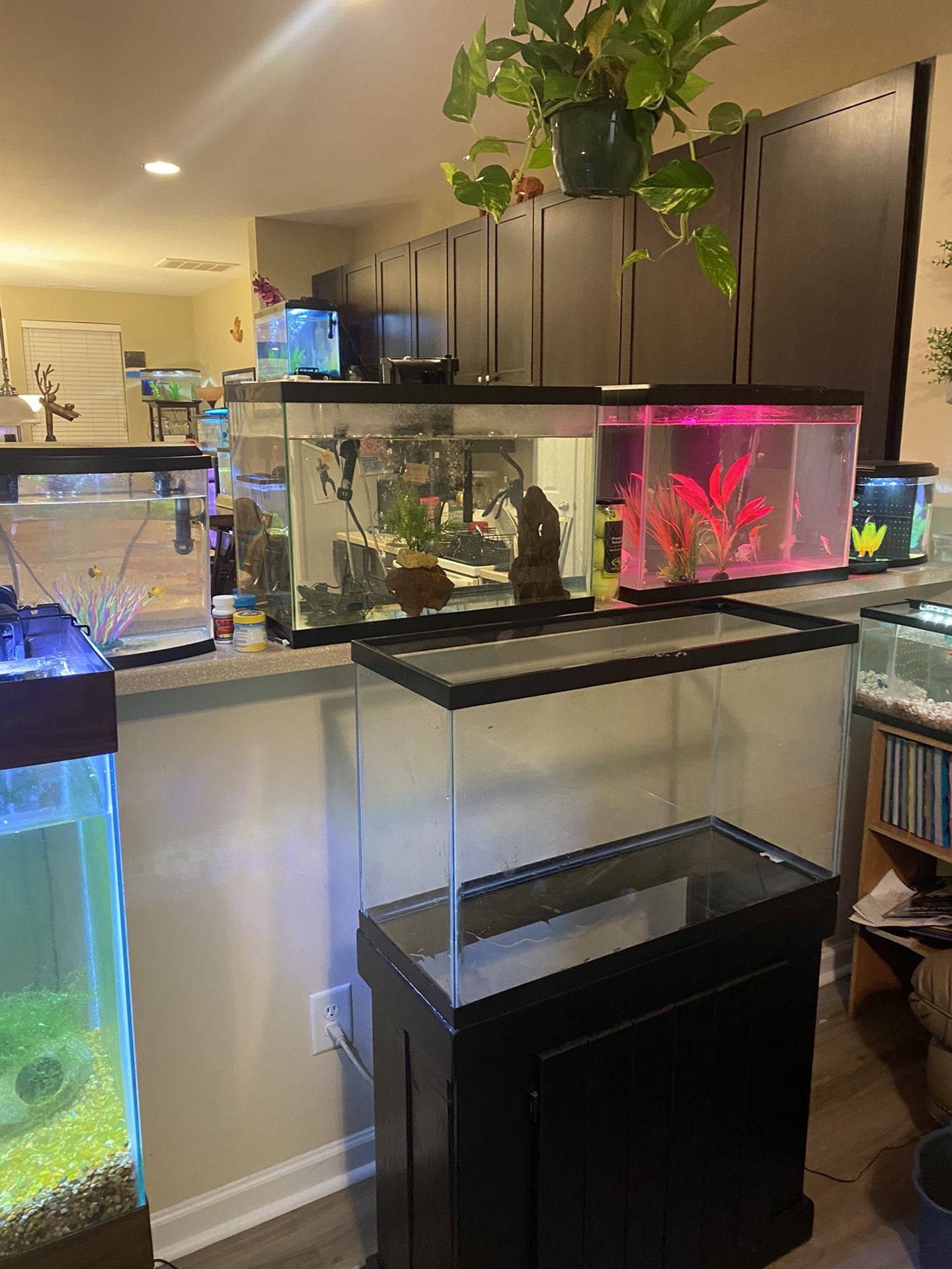 Fish Tanks