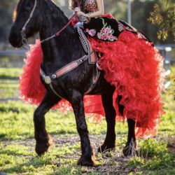 Quinceanera Red Charro Dress  “Must See “