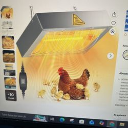 Chicken Heater  