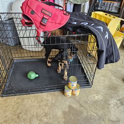 ACCESSORIES AND TOYS FOR DOBERMAN 