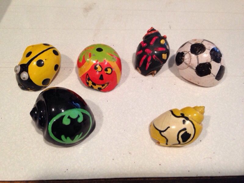 Hermit crab shells