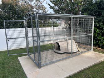 Rhino 5x10 commercial kennel