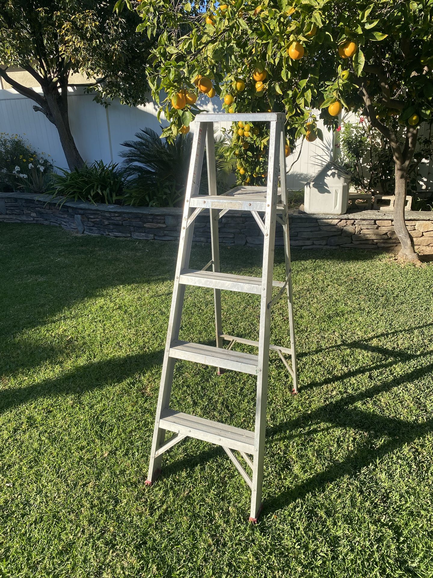5ft Lightweight Aluminum Ladder