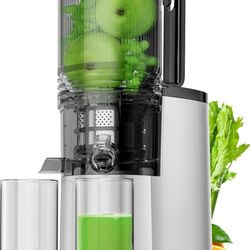 Cold Press Juicer Machine, 6.5" Large Feed Chute Masticating Extractor, Easy to Clean for Whole Fruits & Vegetables, High Yield