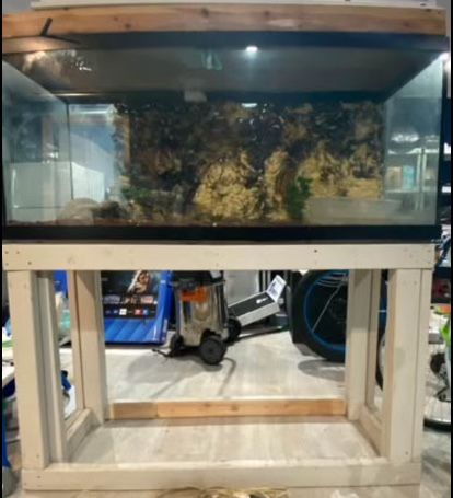 100 Gallon Fish Tank