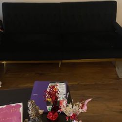 Futon Couch 