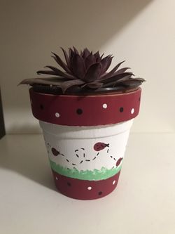 Maceta pintada a mano diseño Catarina 🐞 4”x 4” con planta suculenta $16opcional sin planta solo maceta $12