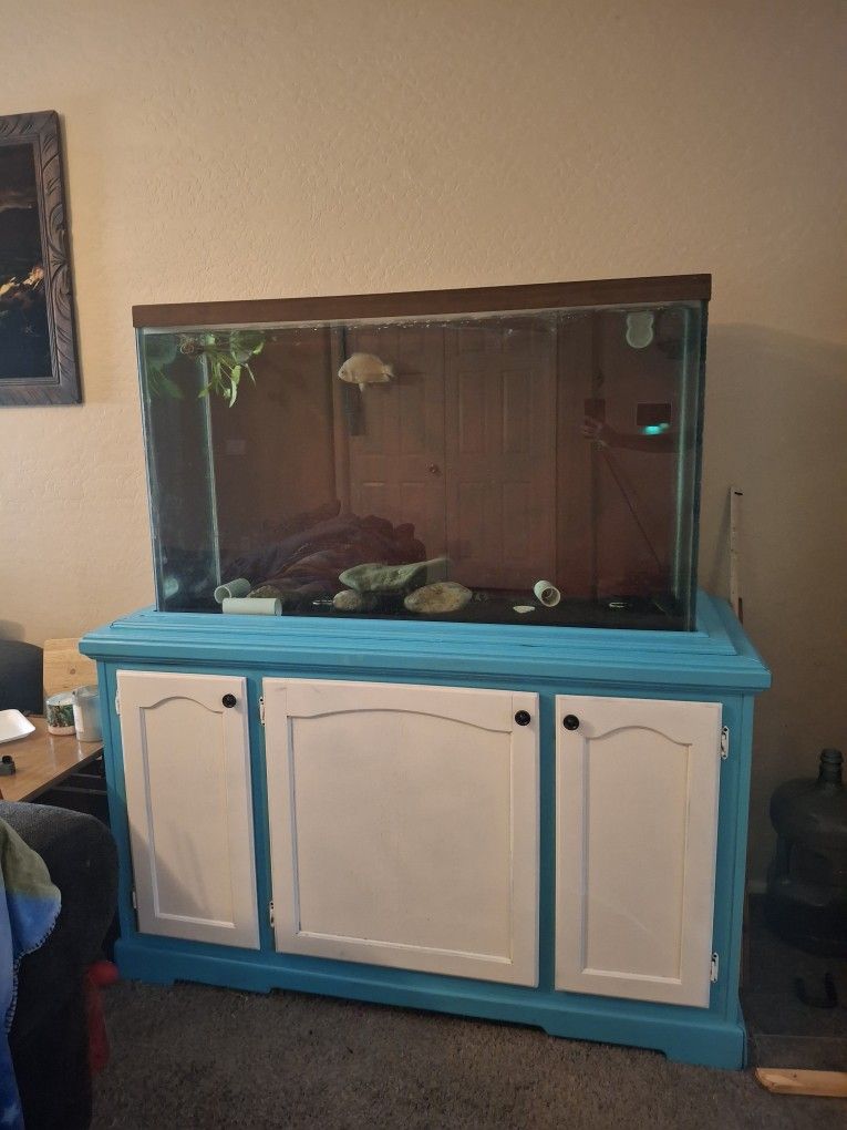 110 Gallone Fish Tank