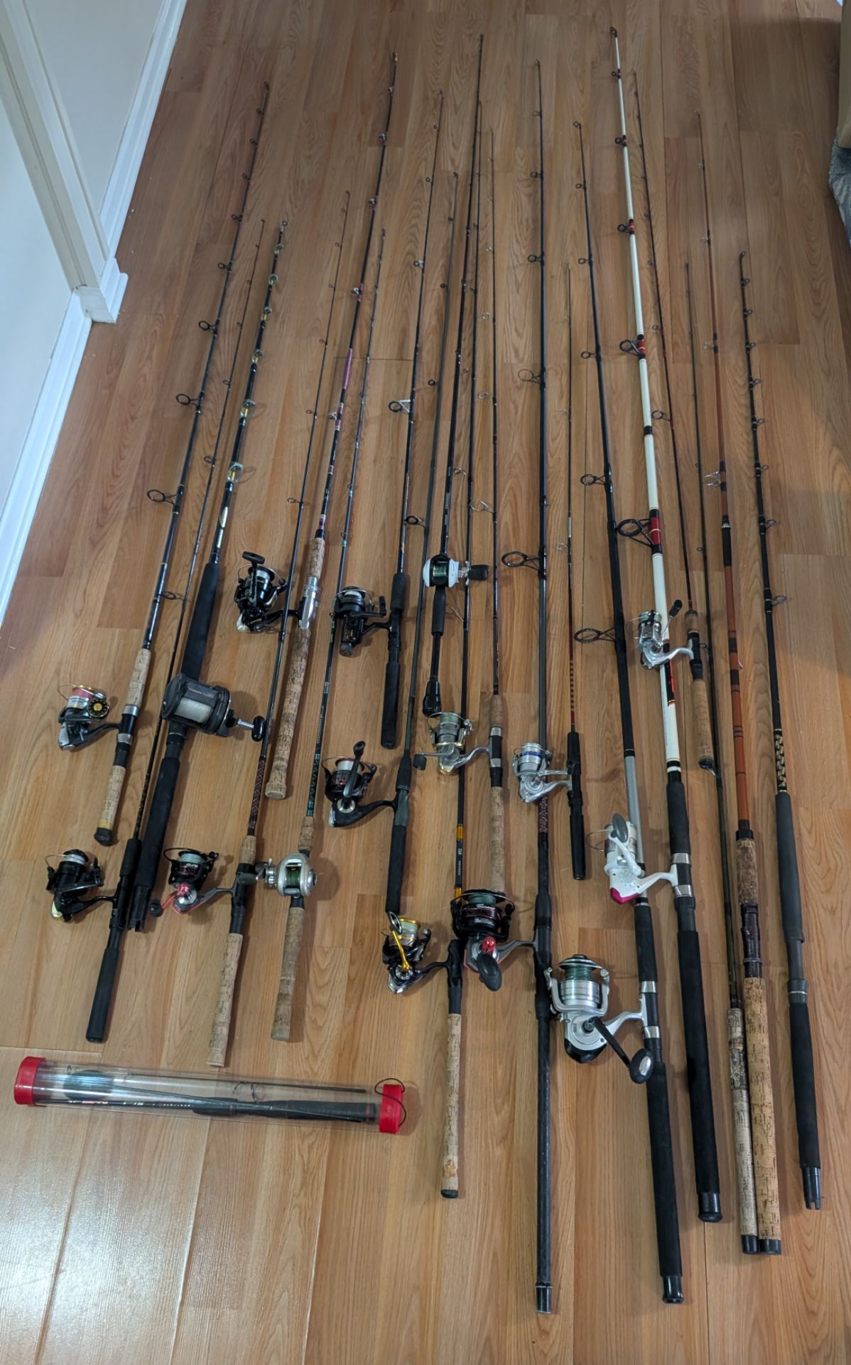 Fishing rods and Reels lot