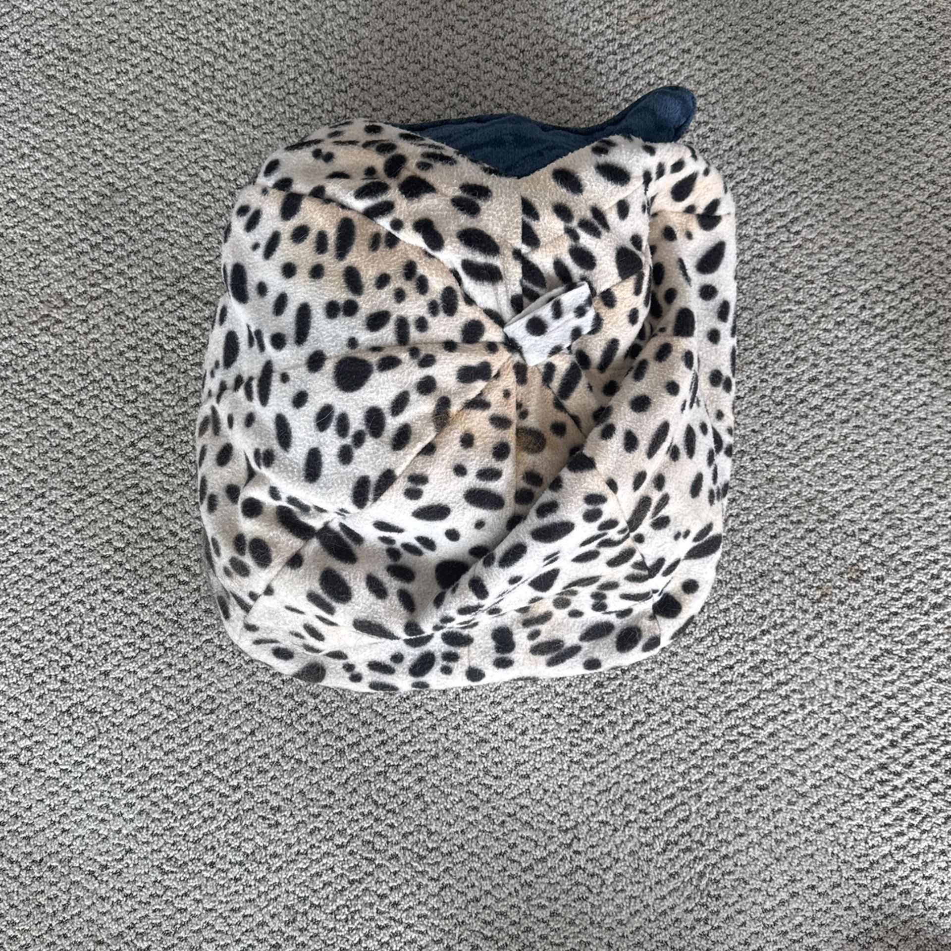 Small Dog Bed
