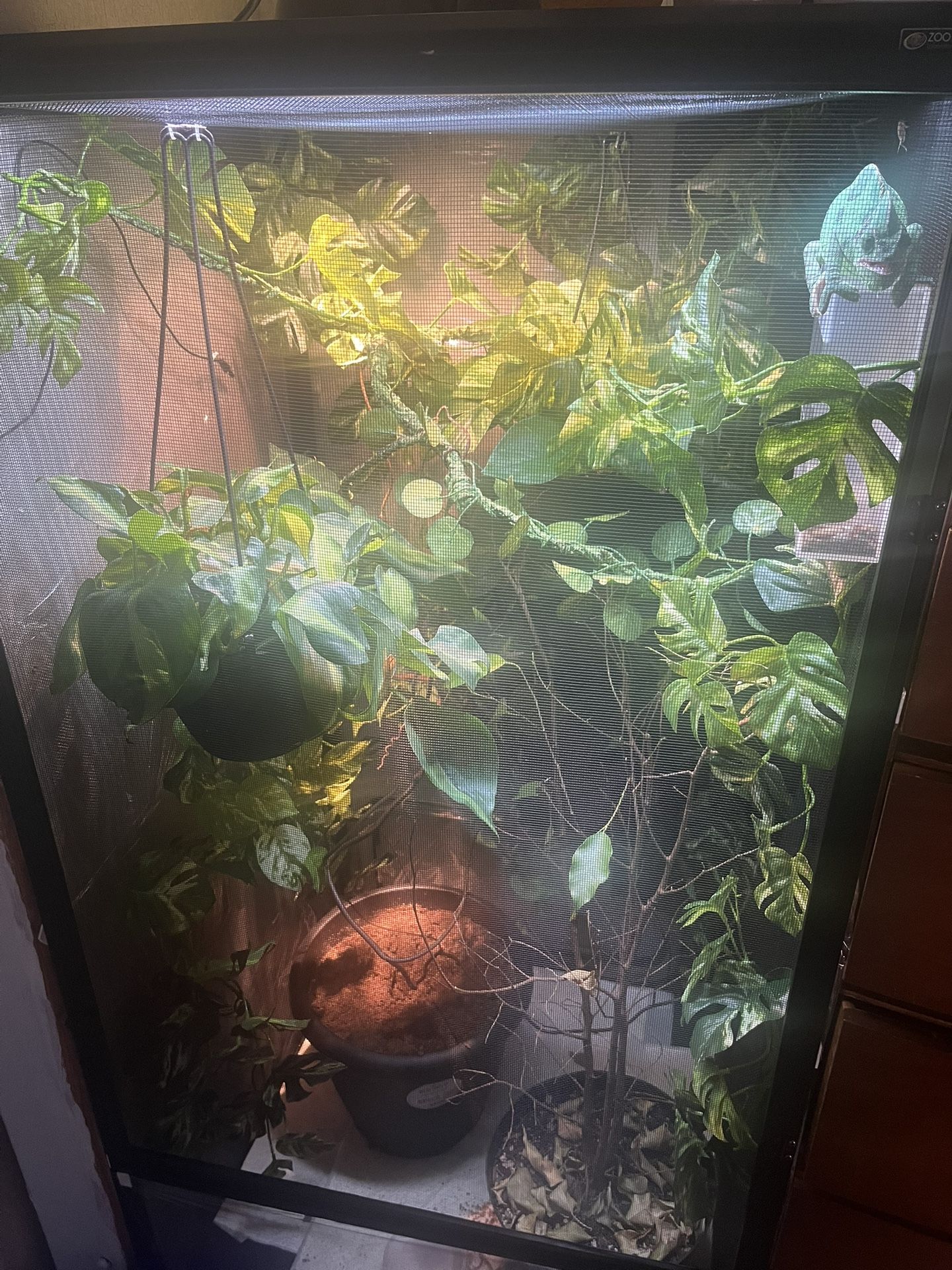 Reptile supplies