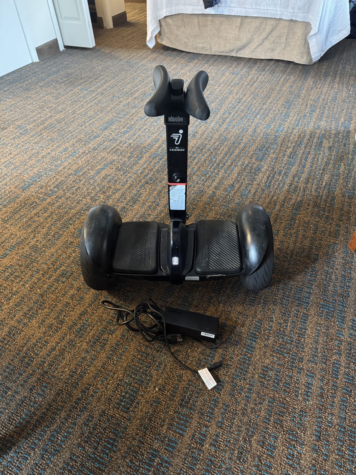 Segway Ninebot Pro
