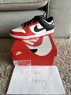 Nike Dunk Low Chicago EMB Size 8.5