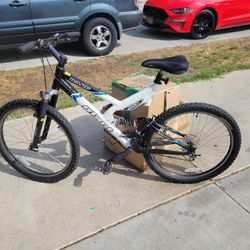 Giant And Swing Bike