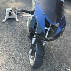 Pocket bike,mini Bike,go kart ,motorcycle .trade