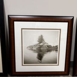 Framed Nature Print – Lone Tree on Rock Island