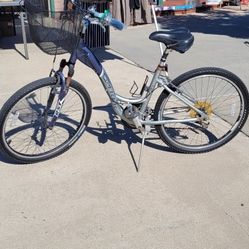 Trek Navigator 300 Women's Bicycle