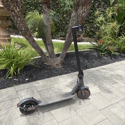 Electric Scooter 
