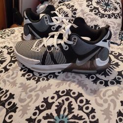 Nike LeBron Witness 7