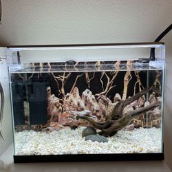 Aquarium Light