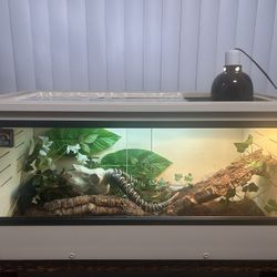 Reptile Enclosure 