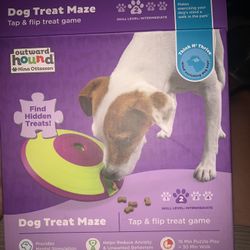 puzzle toy for pets 