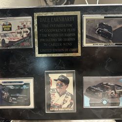 Dale Earn heart Sr And Jr Memorabilia 