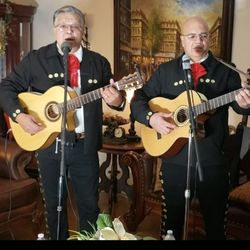 Mariachi Guitars Acoustic